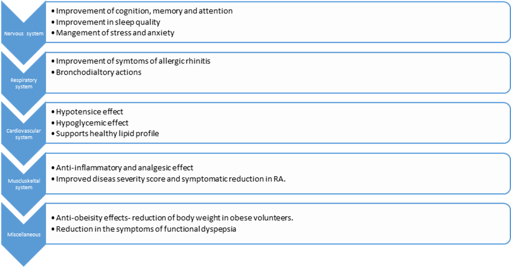 Nigella sativa Black Cumin Seed extract & its benefits